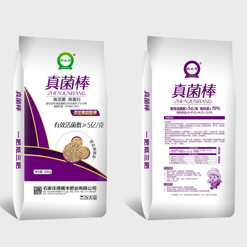 真菌棒
